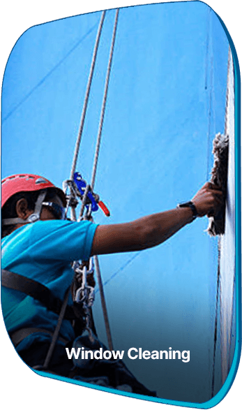 window cleaning